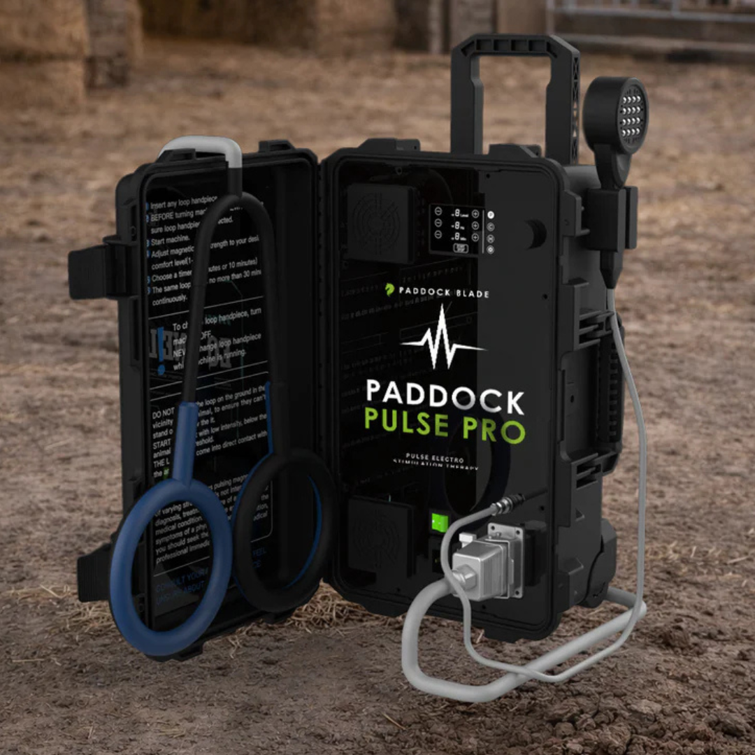 Paddock Pulse Pro Advanced PEMF Electromagnetic Equine Therapy