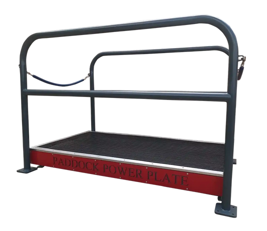 Paddock Power Plate vibration table for horse therapy, featuring a sturdy design and premium British craftsmanship.