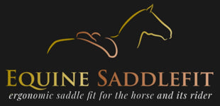 Equine saddlefit
