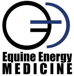 Equine energy medicine
