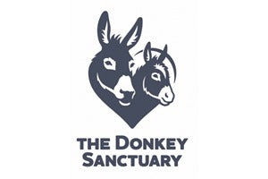 The donkey