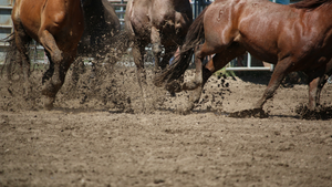 Tackling Mud and Muck: Managing Wet Conditions in UK Equestrian Environments