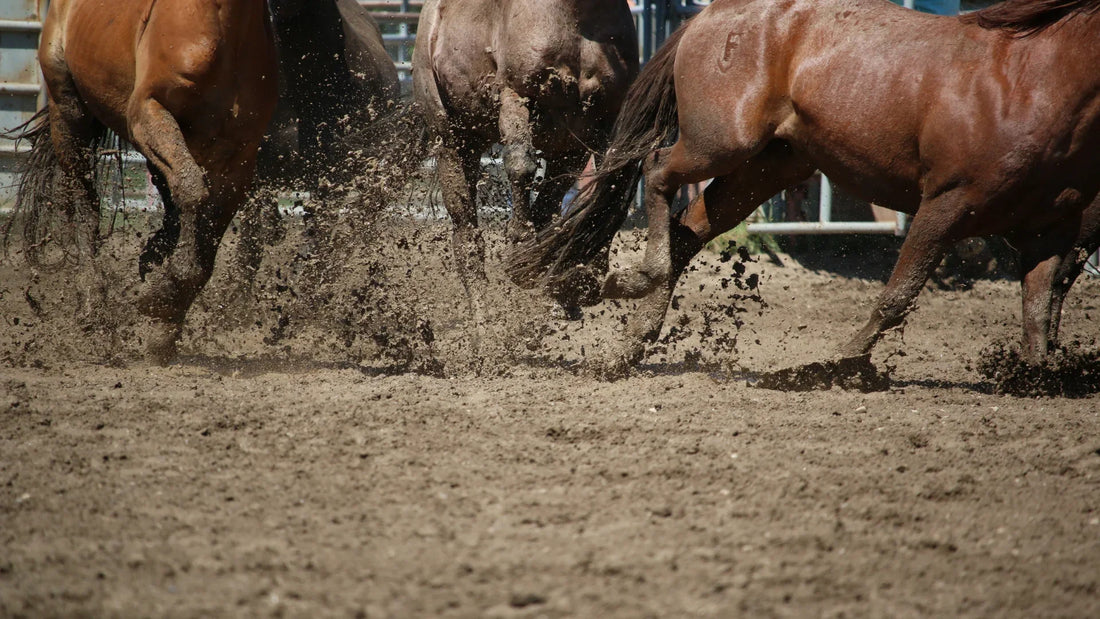 Tackling Mud and Muck: Managing Wet Conditions in UK Equestrian Environments