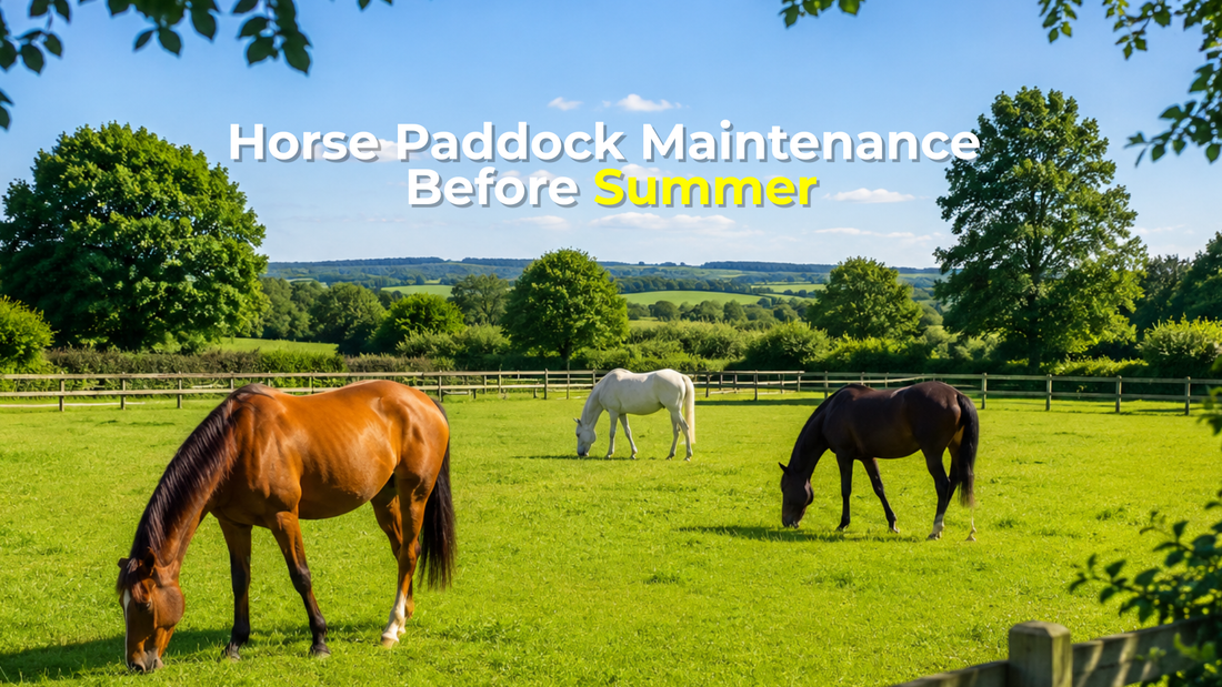 UK Horse Paddock Maintenance Before Summer: Preventing Parasites, Poor Grazing & Pasture Decline