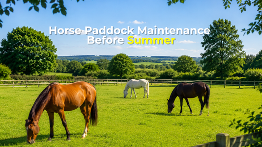 UK Horse Paddock Maintenance Before Summer: Preventing Parasites, Poor Grazing & Pasture Decline