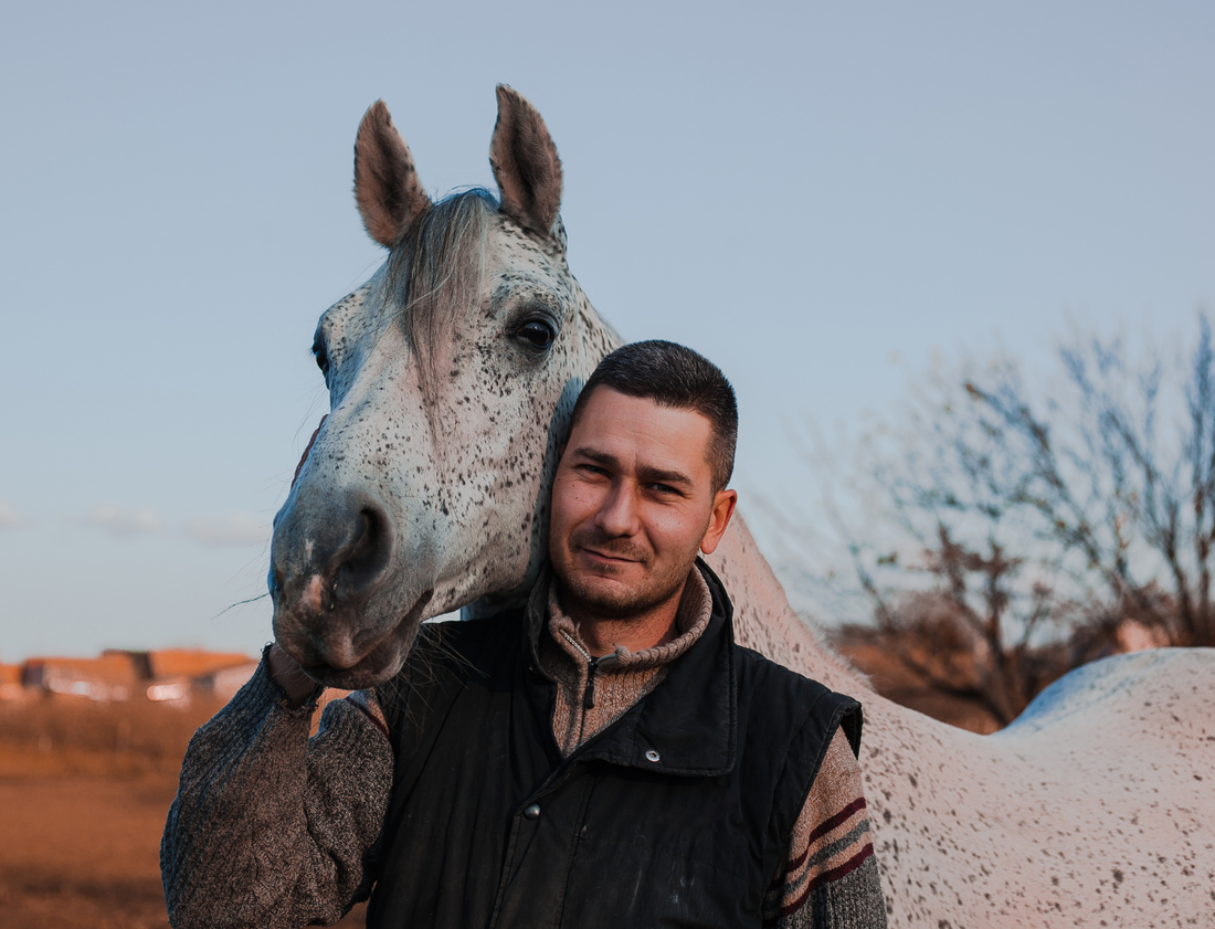 First-Time Horse Owner? Here’s How to Maintain Clean Paddocks