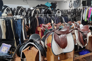 Top 10 Horse-Specific Second-Hand Markets in the UK
