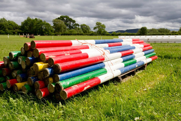 Five Ways Ground Poles Build Strength in Horses
