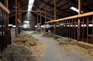 COVID 19 Safe Stable Tips - Common Sense Equine Coronavirus Guide