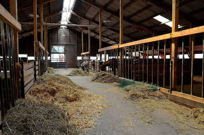 COVID 19 Safe Stable Tips - Common Sense Equine Coronavirus Guide