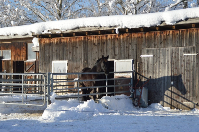 Handling Ice And Snow At The Barn