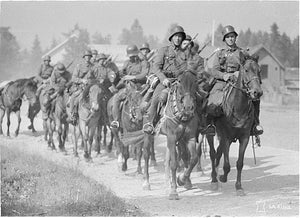 How Horses Were Used In World War I And II