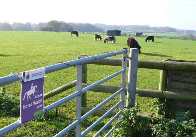 Making The Best Use Of A Small Acre Farm