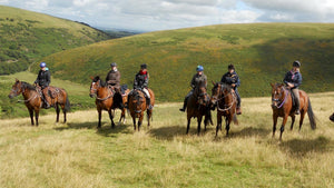 The best equestrian-friendly holiday destinations in the UK for horse lovers