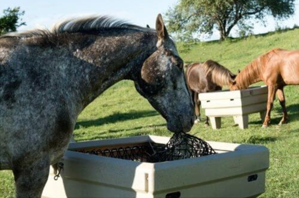 OptiMizer Slow Hay Feeder: The Smart Way to Feed