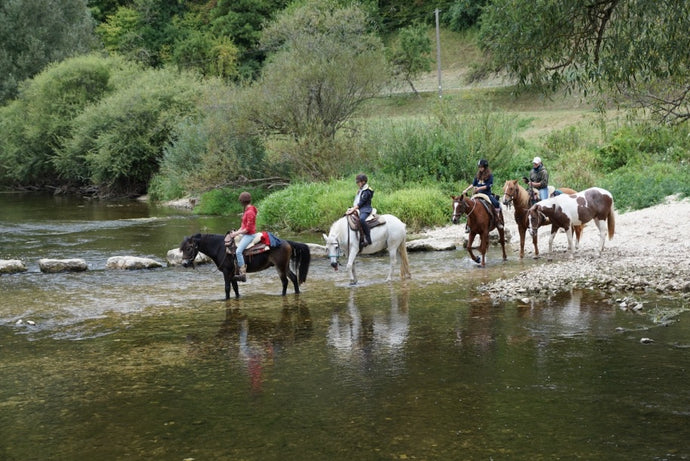 Planning the Perfect Extended Horse Riding Trail Ride