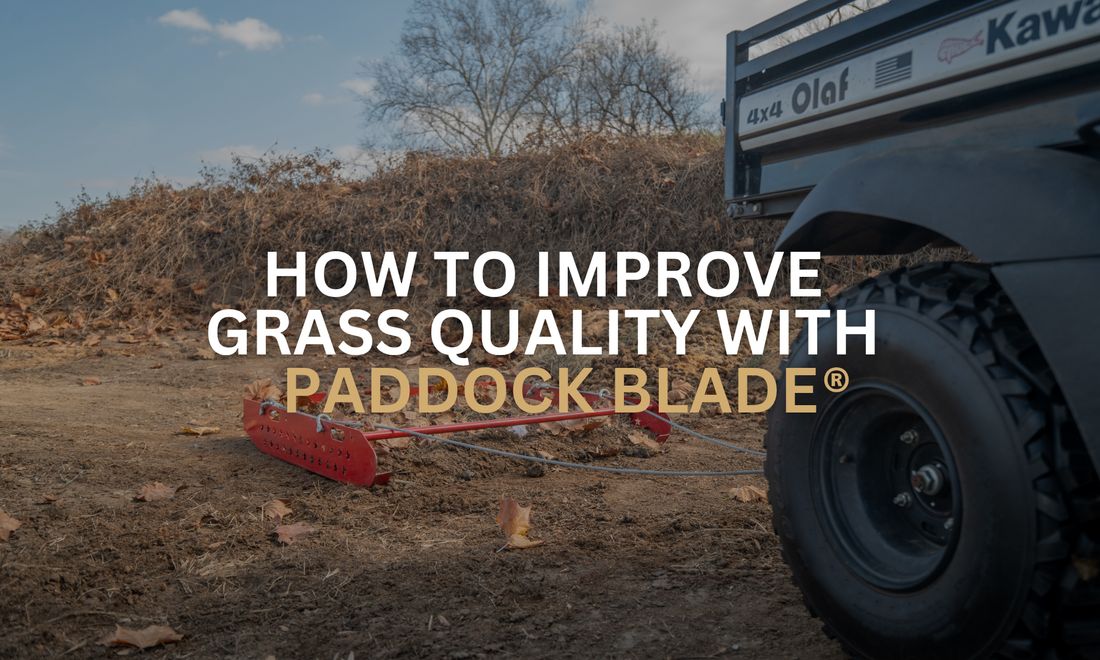 Spring Paddock Management UK: How to Improve Grass Quality with a Paddock Blade