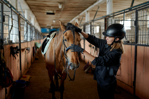 How to Help Calm a Nervous and Anxious Horse
