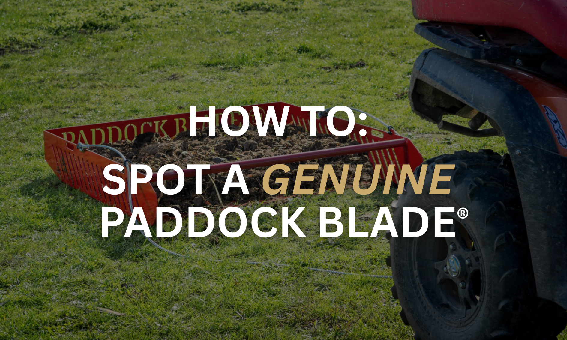 How to Identify a Fake Paddock Blade® with Imitations on the Rise ...