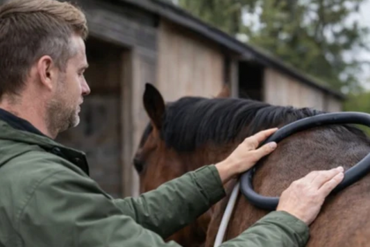 How to Reduce Stiffness in Horses: Practical Tips That Actually Work