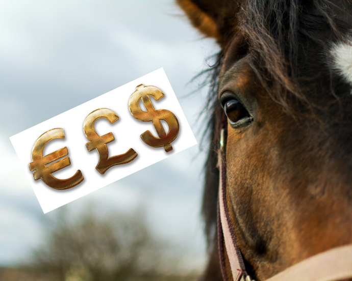 Things To Keep In Mind When Choosing A Horse To Lease