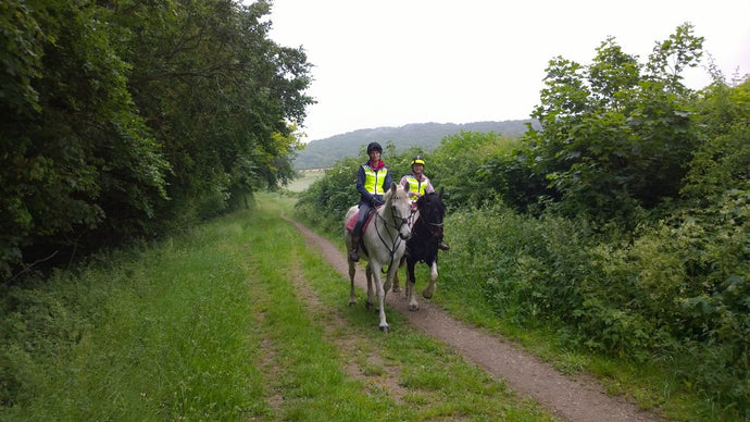 Why It's Never Too Late to Take Up Horse Riding