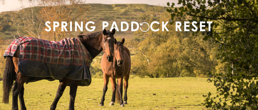 UK Spring Paddock Reset: Soil Test, Harrow, Reseed