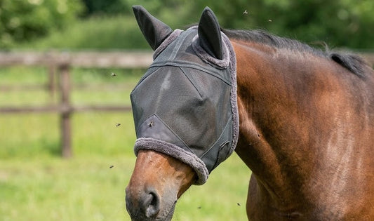 The UK Equestrian’s Summer Guide to Manure Management and Natural Fly Control