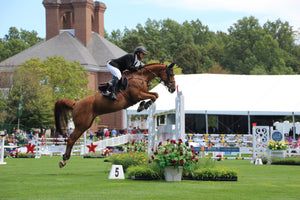 Mastering Horseback Riding Techniques: Lessons and Training Tips for Riders in the UK