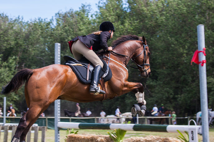 Equestrian Events UK - What's on this year?
