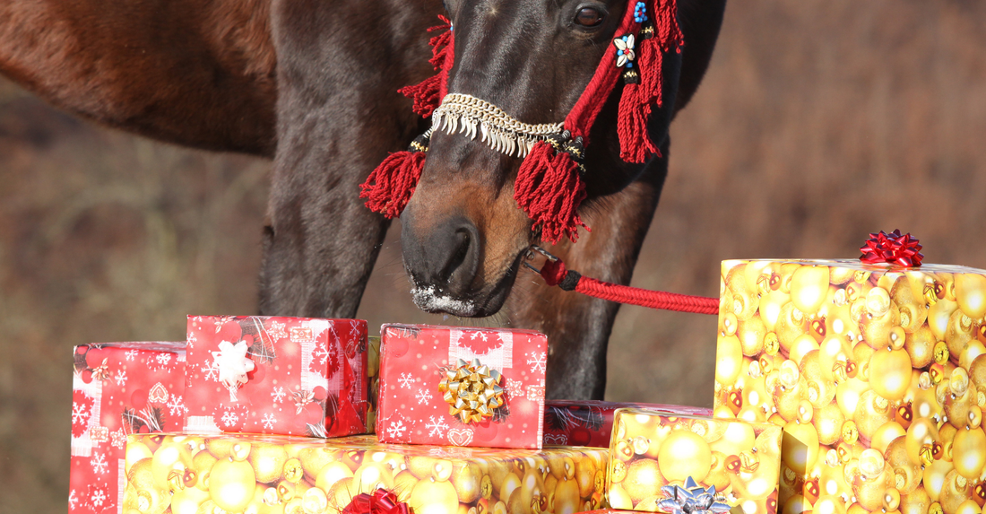 brown horse sniffing christmas presents