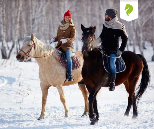 winter horse management