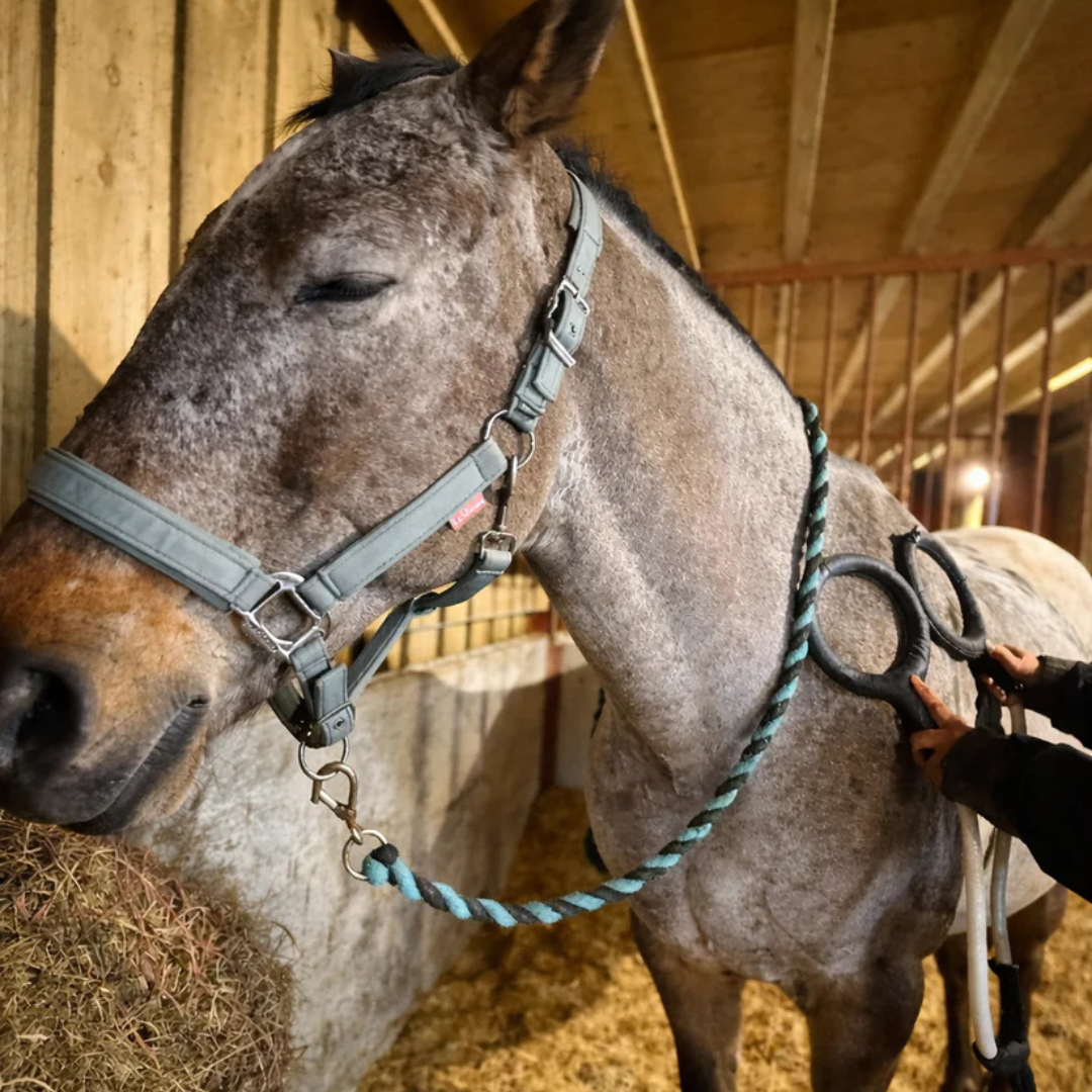 Paddock Pulse Pro PEMF therapy device for horses showing the electromagnetic pulse applicator and control panel.