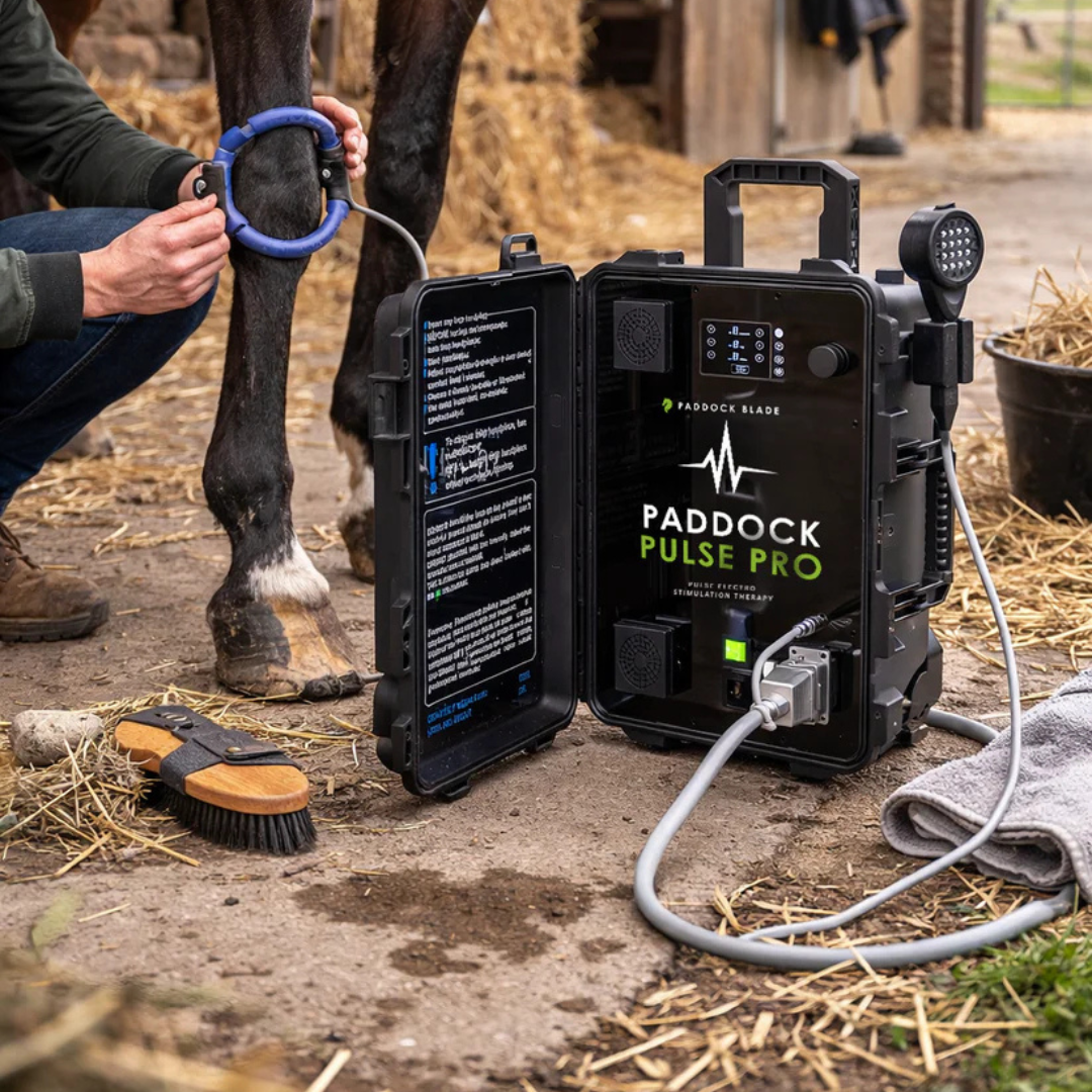 Paddock Pulse Pro PEMF device for horses, advanced electromagnetic therapy system by Paddock Blade UK, with control panel visible.