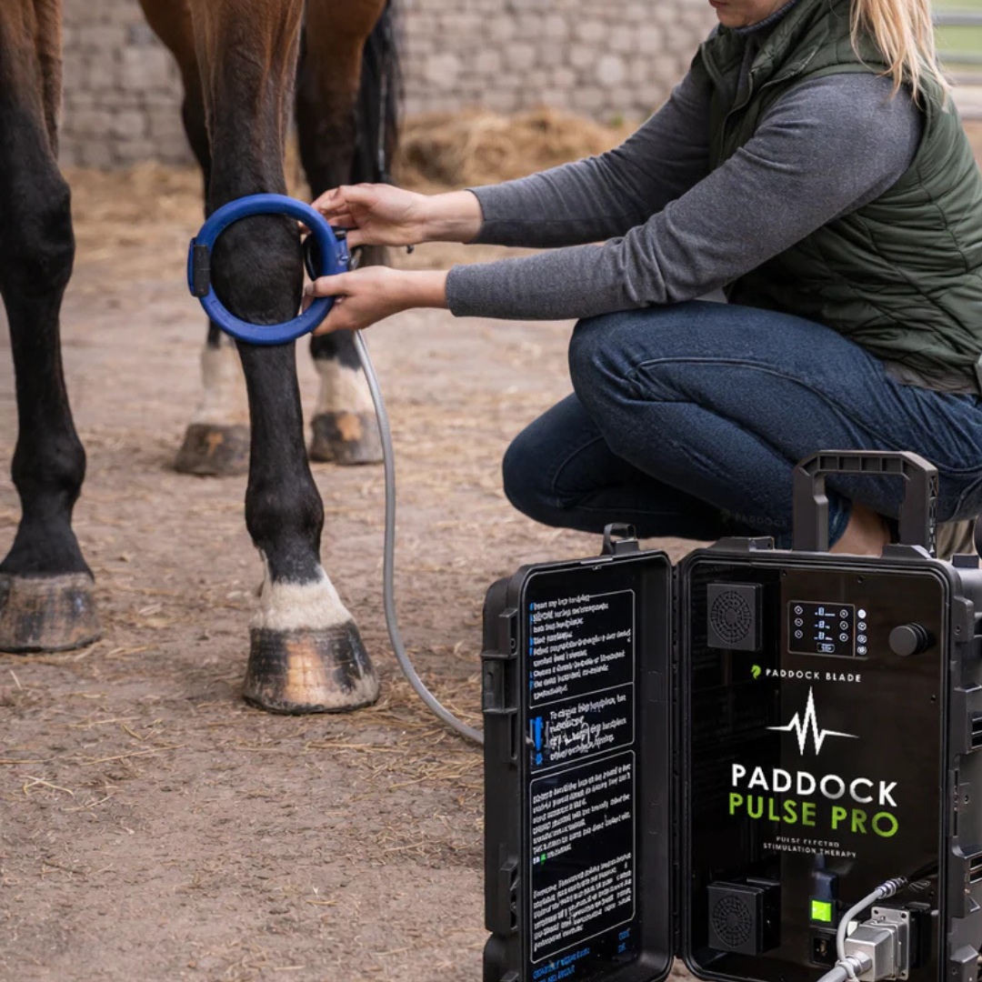 Paddock Pulse Pro PEMF device for equine therapy, featuring a compact design and control panel for electromagnetic treatment of horses.