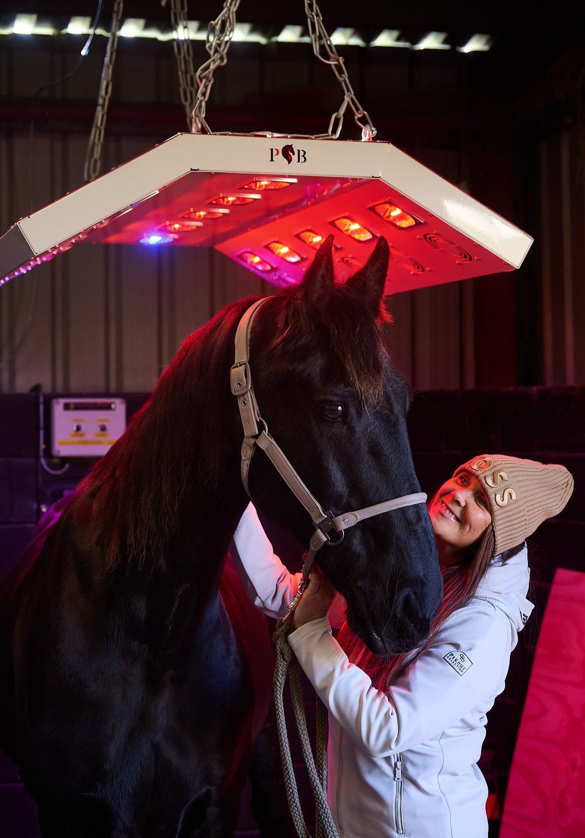 Paddock Blade Deluxe aluminium horse solarium with clear panels and sturdy frame, designed for British-made horse care.
