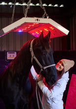 (NEW) Paddock Blade  | Deluxe Aluminium Horse Solarium | British Made Free Delivery