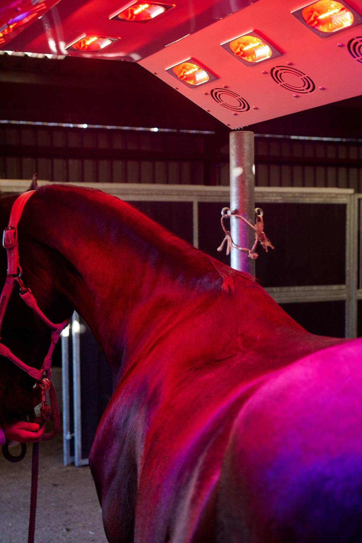 British-made Paddock Blade Deluxe aluminium horse solarium showing a sleek, durable design for horse care and sun protection.