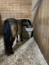 brown pony using a hay optimzer