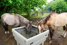 two horses in a dry lot eating from a hay feed optimizer