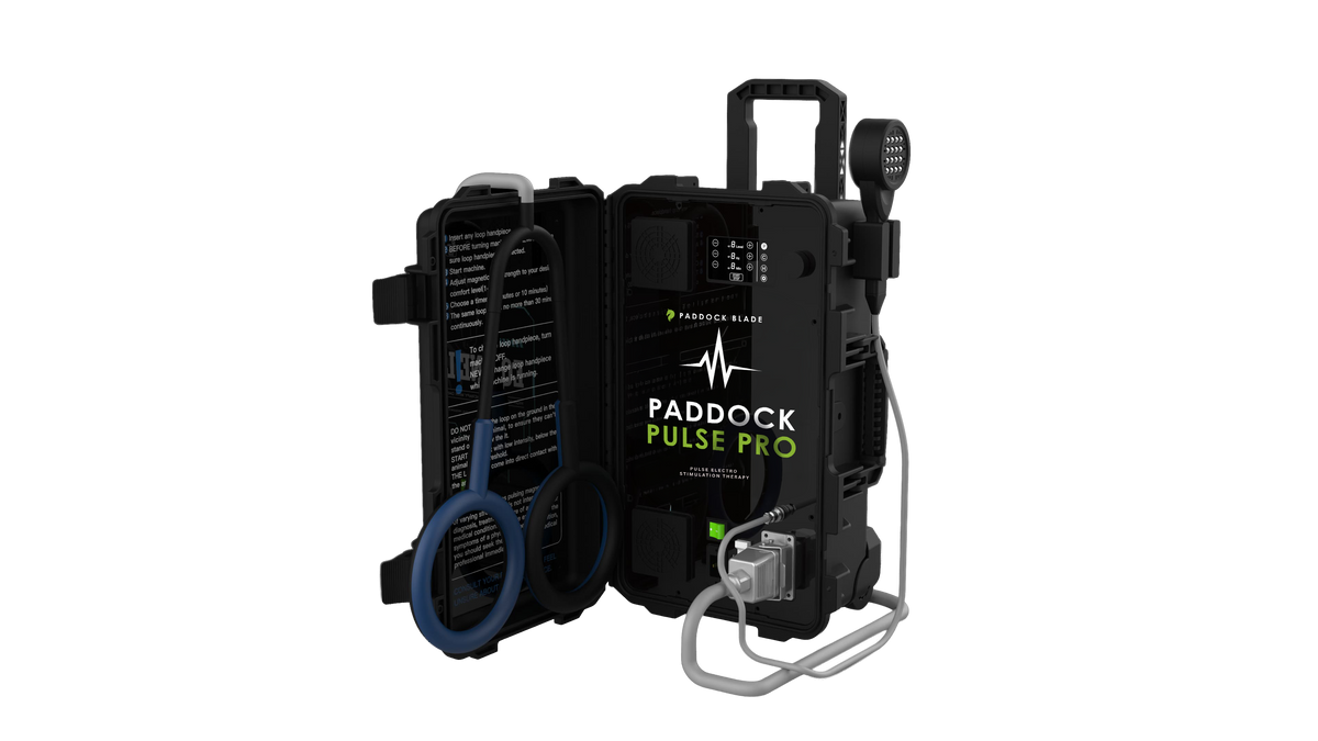 Paddock Pulse Pro PEMF therapy device for horses, featuring advanced electromagnetic therapy for equine health and recovery.