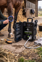 Paddock Pulse Pro device being used on a horse's leg in a stable setting