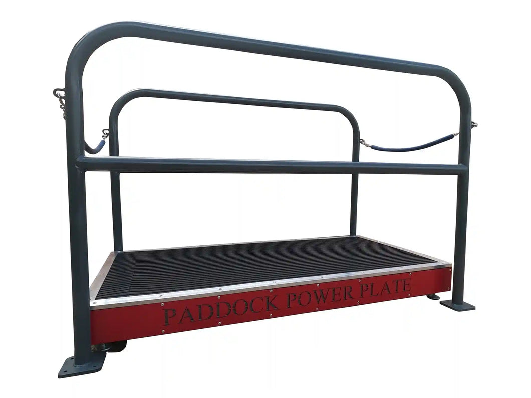 Paddock Power Plate - Horse Therapy Vibration Table