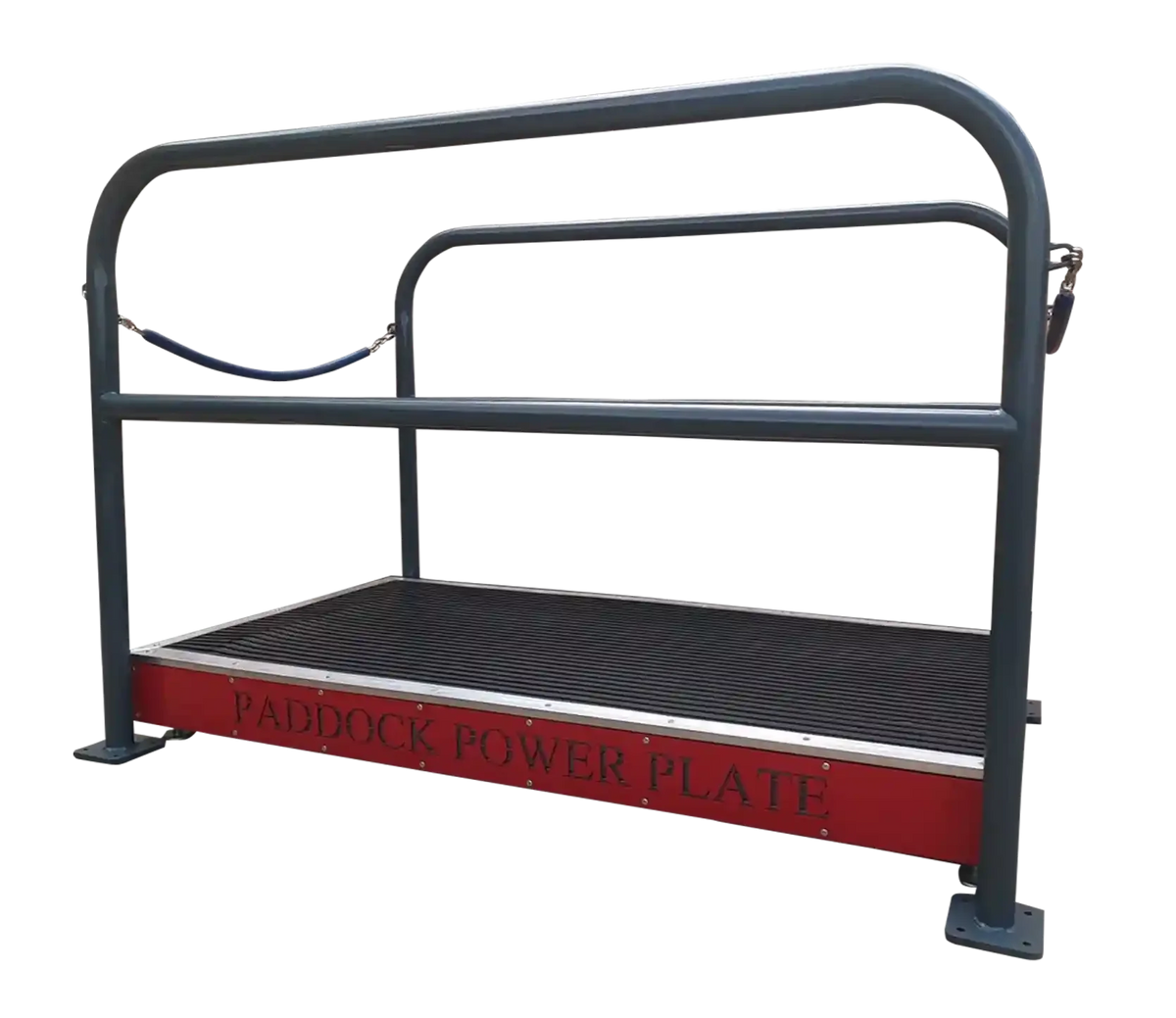 Paddock Power Plate horse therapy vibration table with a sturdy platform for equine muscle relaxation and recovery.