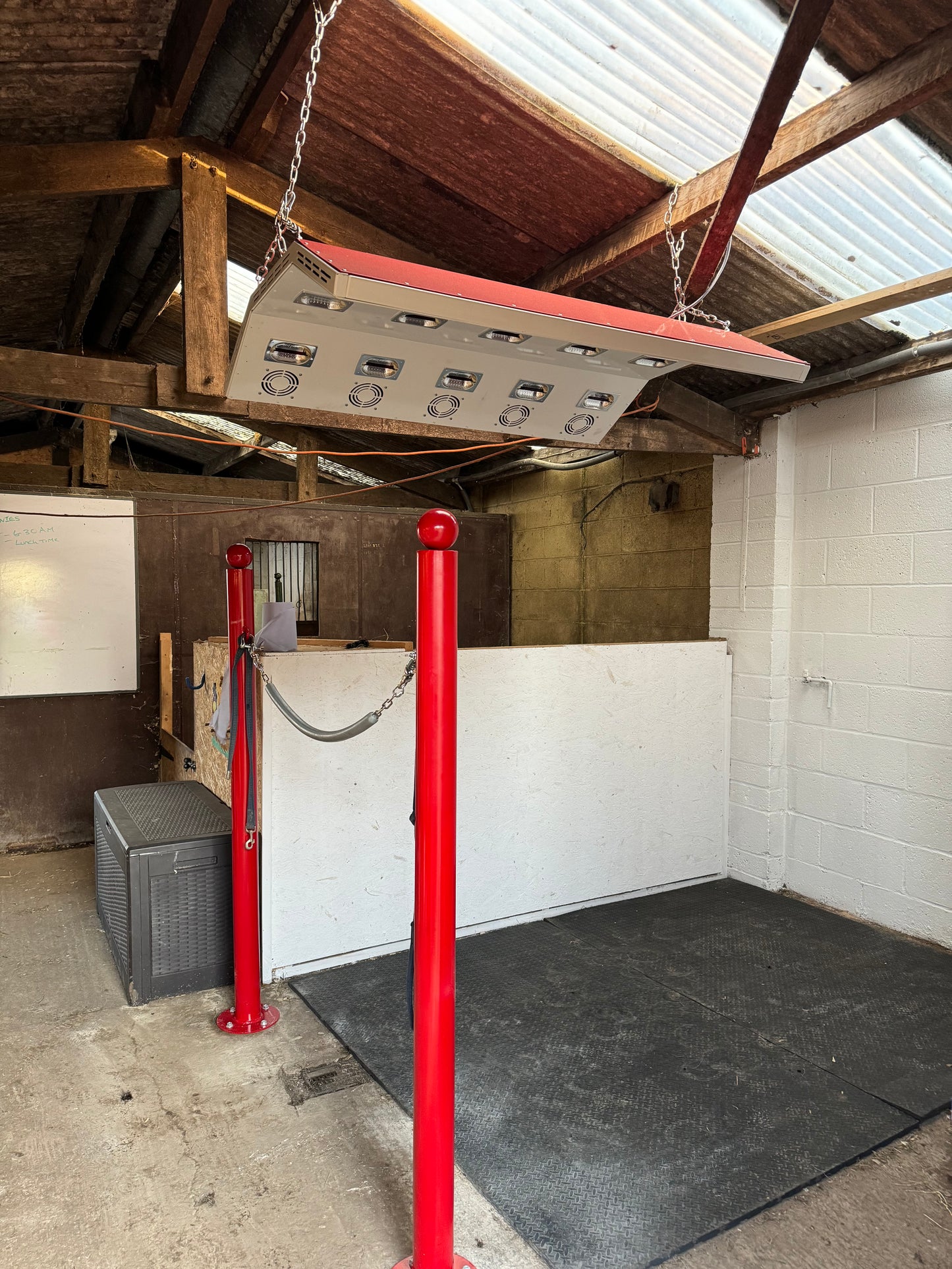 Aluminium horse solarium in stable, Paddock Blade Deluxe British-made horse solarium by Paddock Blade United Kingdom.