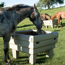 horse eating from hay feed optimizer