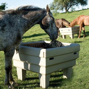 horse eating from hay feed optimizer