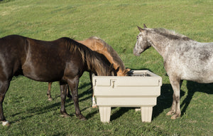 a horse hay feeder in a field